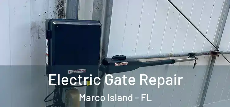  Electric Gate Repair Marco Island - FL
