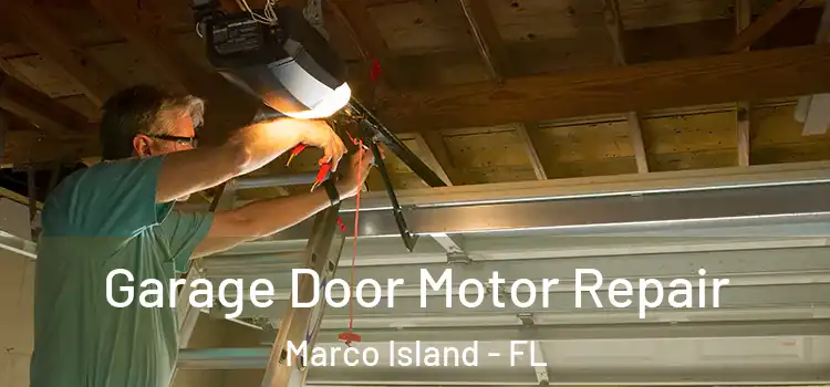  Garage Door Motor Repair Marco Island - FL