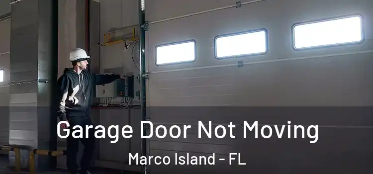  Garage Door Not Moving Marco Island - FL