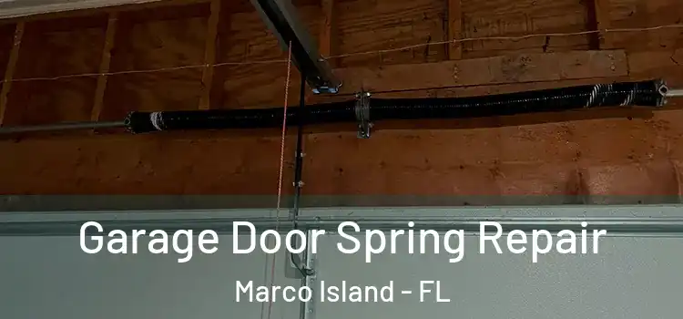  Garage Door Spring Repair Marco Island - FL